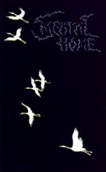 Mental Home : Mirrorland